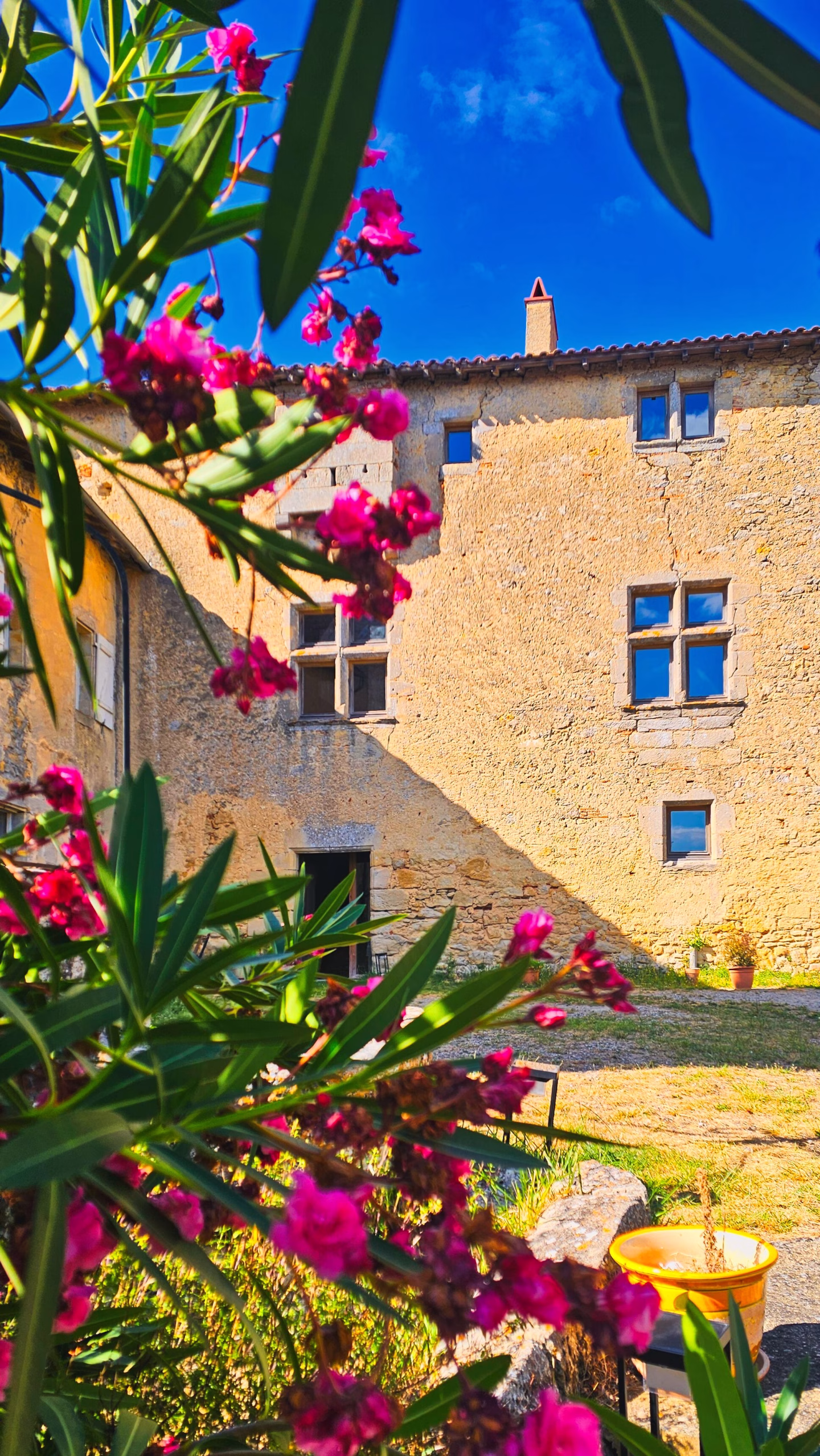 chateau de Mezerville extérieurs chambre d'hôtes aude