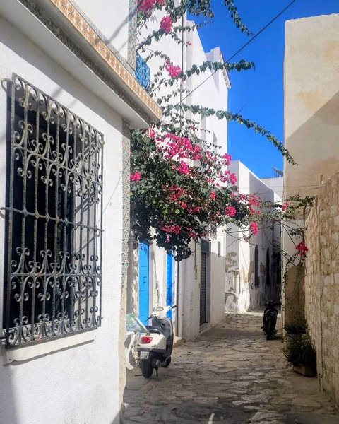 Rue étroite avec fleurs colorées