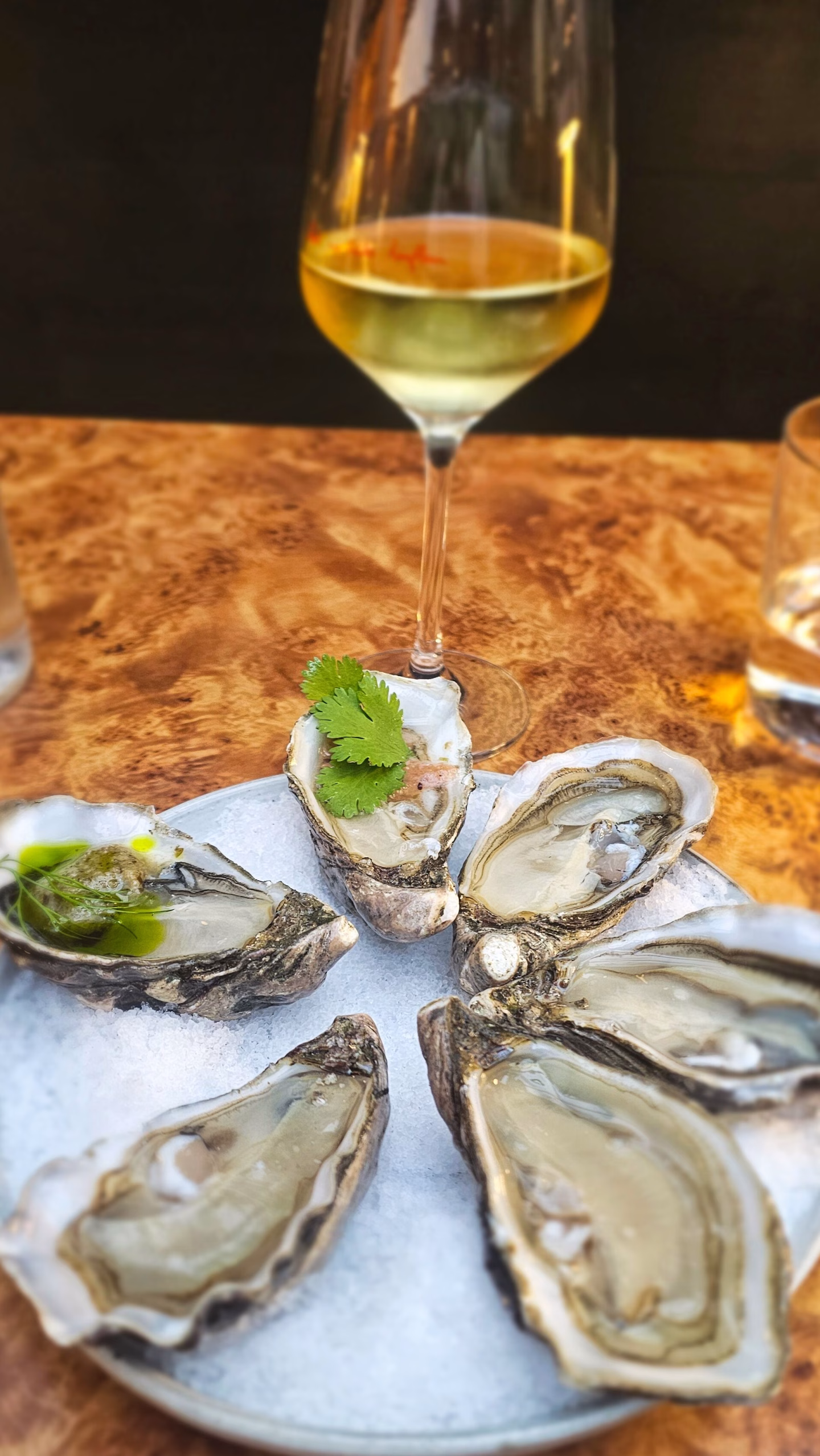 les huitres au restaurant l'huitre brûlée à Honfleur